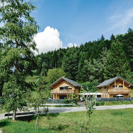 Chalet 49 Nesselgraben - Ferienwohnungen Aus Holz 코플 외부 사진