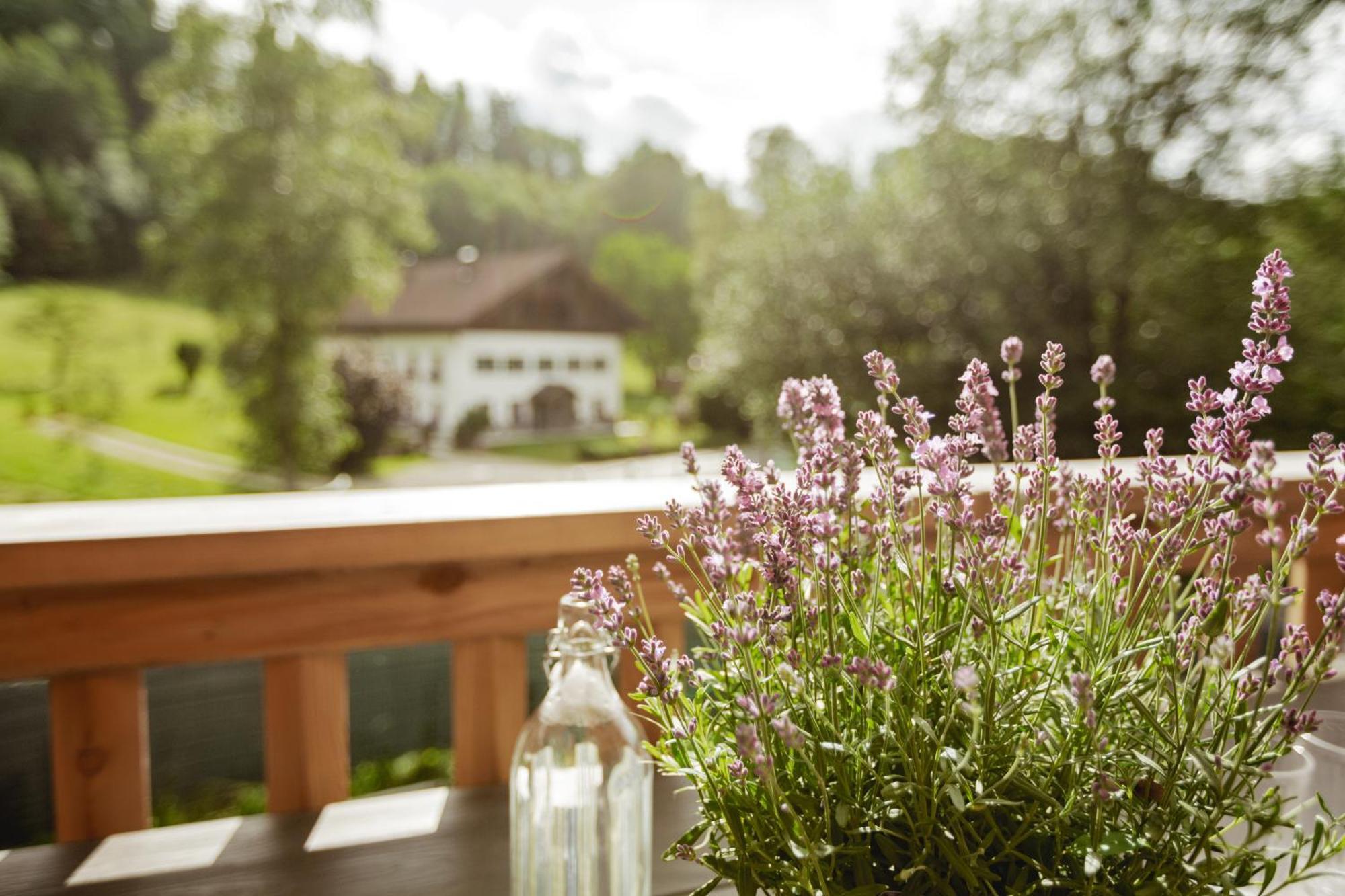 Chalet 49 Nesselgraben - Ferienwohnungen Aus Holz 코플 외부 사진